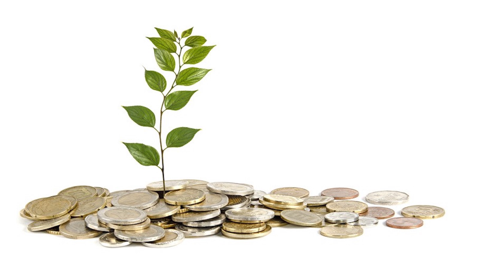 What Is Seed Capital In Entrepreneurship